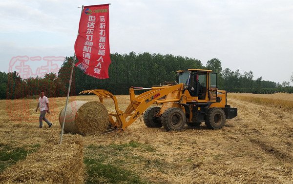 關(guān)于政協(xié)十三屆全國委員會第一次會議第0295號（農(nóng)業(yè)水利類057號）提案答復(fù)的函