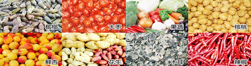 5HF-15B生物質(zhì)果蔬烘干機海帝升農(nóng)機
