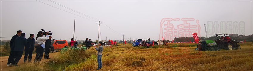 世達(dá)爾打捆機(jī)參加2019年孝昌縣秸稈綜合利用演示