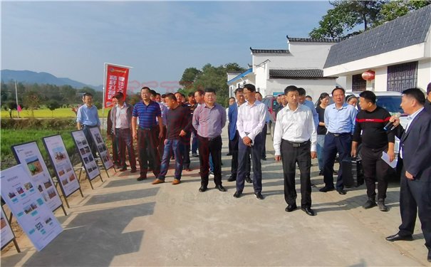 世達(dá)爾秸稈打捆機(jī)助力羅田農(nóng)民秋收秋播
