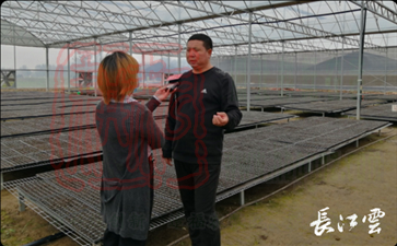 天門紅日子蔬菜專業(yè)合作社介紹農(nóng)民土地入股合作形式進(jìn)行精耕細(xì)作